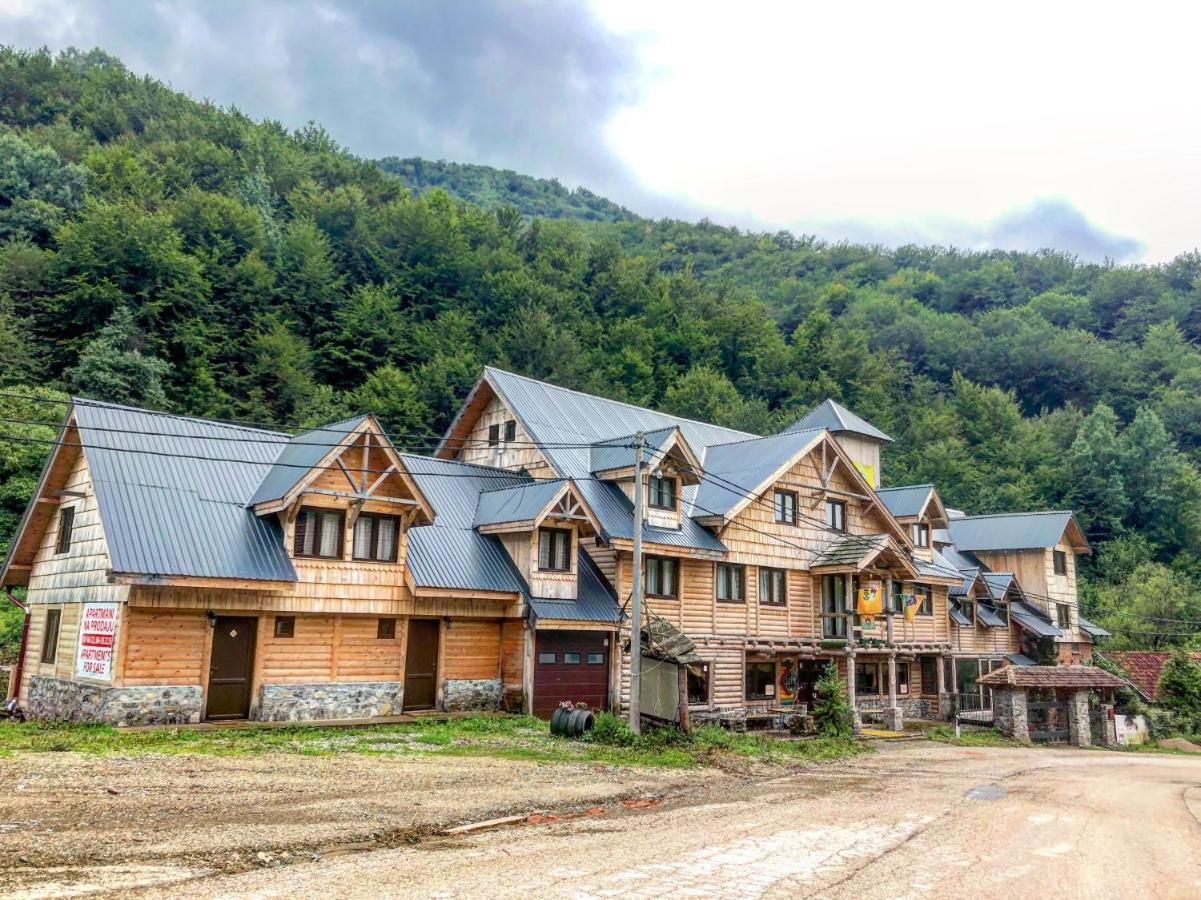 Apartman Pustolov - Stara Planina Crni Vrh 外观 照片
